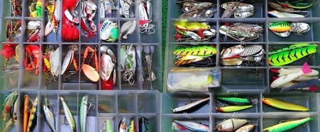 Прогноз продаж в интернете рыболовных товаров. Как открыть рыболовный магазин: подбор персонала, аренда помещения, бизнес-план