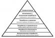 Что такое пирамида потребностей абрахама маслоу