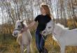Ферма мини-лошадей «путешествие в лилипутию Лошадиная мини ферма для верховой езды